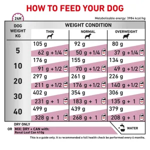 Buy Royal Canin Renal Dog Food Online ePETstore South Africa