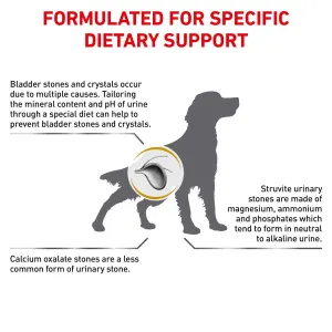 Royal canin urinary so dog food 14kg on sale