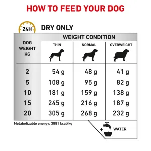 Royal canin urinary tract dog food new arrivals