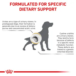 Royal canin urinary uc low purine 14kg best sale