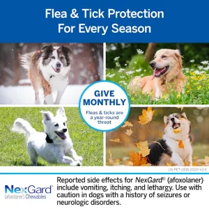 NexGard Chewable Tick & Flea Tablet for Dogs once a month application