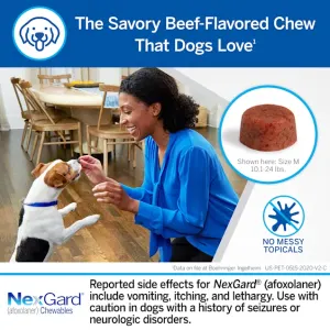NexGard Chewable Tick & Flea Tablet for Dogs beef flavored chew