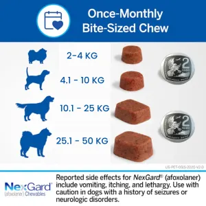 Nexgard for dogs price outlet