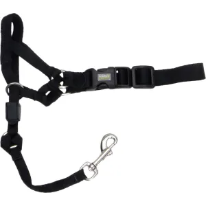 Walk 'n Train Dog Halter