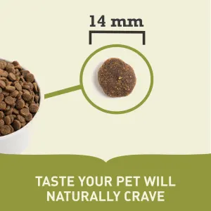 Acana Grass-Fed Lamb Dog Food size of pellets