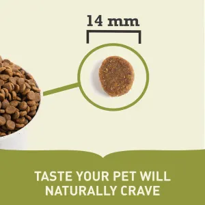 Acana Heritage Adult Dog Food size of pellets