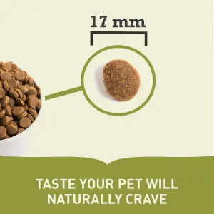 Acana Heritage Adult Large Breed Dog Food size of pellets