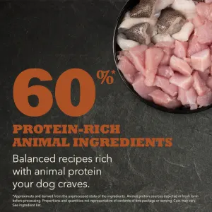 Acana Heritage Adult Large Breed Dog Food protein rich quality ingredients