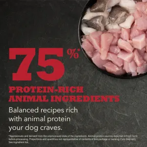 Acana Heritage Sport And Agility Dog Food rich in protein