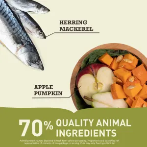Acana Regionals Pacifica Dog Food herring and apple quality ingredients