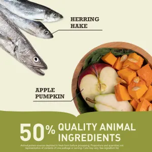 Acana Wild Coast Dog Food herring and apple quality ingredients