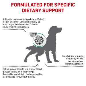 Diabetic wet dog food sales