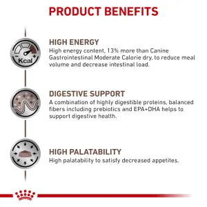 Buy Royal Canin Gastro Intestinal Wet Dog Food Online ePETstore
