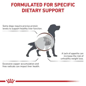 Buy Royal Canin Hepatic Adult Wet Dog Food Online ePETstore