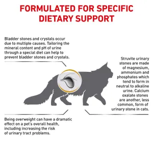 Royal canin urinary so canned cat food online
