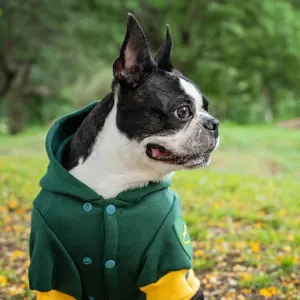 Dog Days Official Boks Rugby Dog Hoodie lifestyle front view with Boston terrier