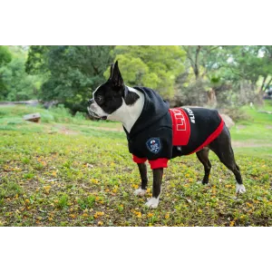 Dog Days Official Lions Pride Rugby Dog Hoodie lifestyle with Boston terrier dog blacka nd red