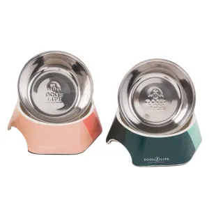 2-In-1 Hexagon Melamine & Stainless Steel Pet Bowl