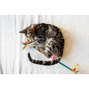Double-Ended Feather Cat Wand Toy cat playing with wand