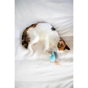 Hero Mouse Cat Toy white cat playing with hero mouse