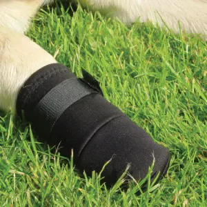 Protective Dog Shoes black Velcro placed onto dogs foot