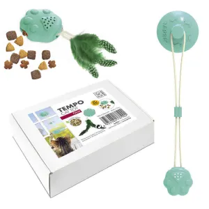 Suction Cup Cat Toy contents in box
