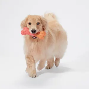Vice Versa Bacon-Scented Bone Dog Toy lifestyle with golden retriever