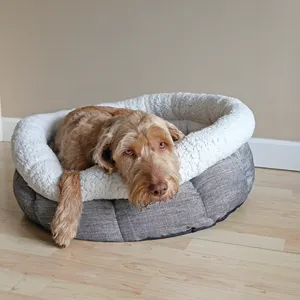 Deep Tweed Teddy Bear Pet Bed lifestyle with brown dog lying down
