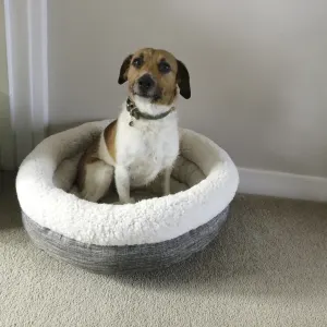 Deep Tweed Teddy Bear Pet Bed lifestyle with white and brown Jack Russel dog