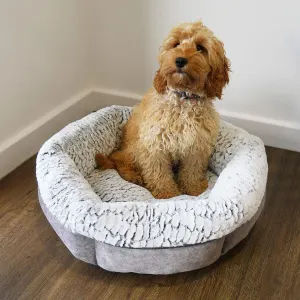 Plush Fleece-Lined Pet Bed lifestyle with brown dog