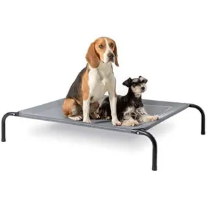 Hound Sleeper Patio Raised Dog Bed lifestyle with 2 small dogs