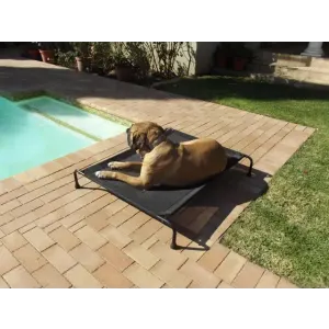 Hound Sleeper Patio Raised Dog Bed lifestyle with large brown dog