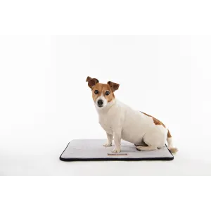 Scilly Mat for Dogs lifestyle with jack russel