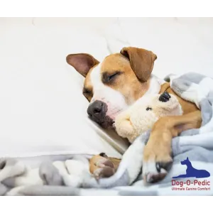 Dog-O-Pedic Memory Foam Dog Mattress with dog getting peaceful sleep