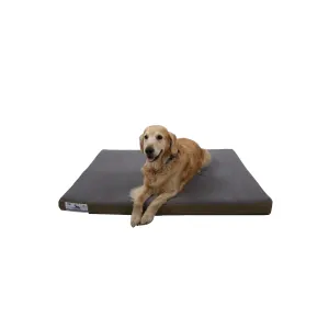 Dog-O-Pedic Memory Foam Dog Mattress lifestyle with golden retriever