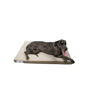 Dog-O-Pedic Memory Foam Dog Mattress lifestyle with great dane