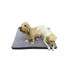 Dog-O-Pedic Memory Foam Dog Mattress lifestyle with 2 large breed dogs