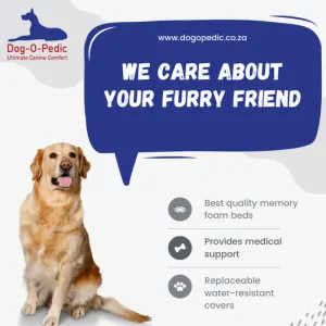 Pharoah Memory Foam Dog Bed why use dog-o-pedic