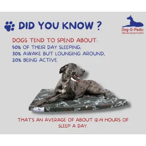 Pharoah Memory Foam Dog Bed do you know how many hours your dog spends sleeping?