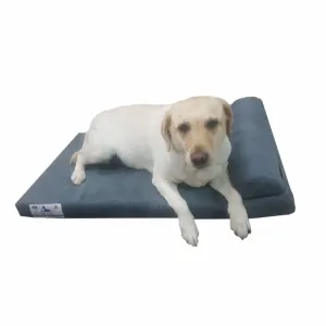 Pharoah Memory Foam Dog Bed lifestyle with white Lab