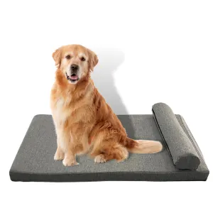 Pharoah Memory Foam Dog Bed lifestyle with golden retriever