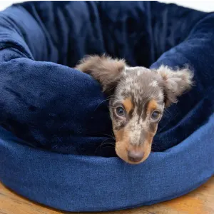 Wagworld Nap Sack nav blue lifestyle with small puppy
