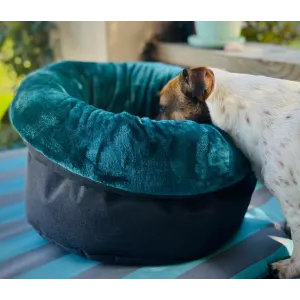 Wagworld Nap Sack turquoise with dog looking inside