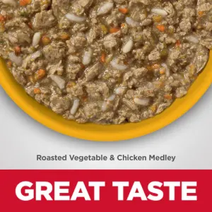 Hill's Adult Wet Cat Food - Chicken & Rice Medley actual food