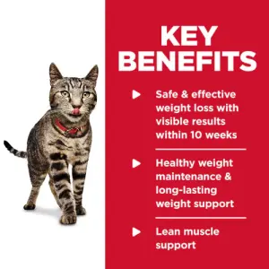 Hill's Adult Wet Cat Food - Chicken & Rice Medley key benefits
