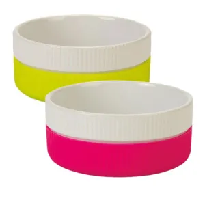 Ceramic & Silicone Cat Bowl pink and yellow