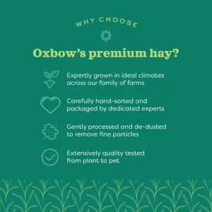Western Timothy Hay & Orchard Grass Blend for Small Pets premium products