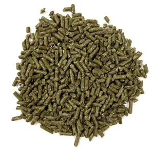 Essentials Adult Guinea Pig Food actual pellets