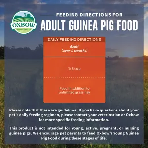 Essentials Adult Guinea Pig Food feeding guidelines