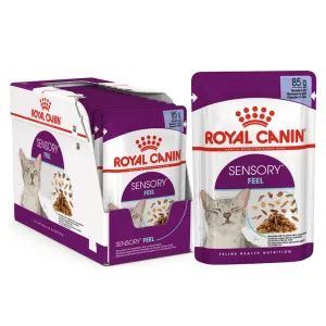 Royal Canin Sensory Feel Wet Cat Food - Gravy box of pouches and a single